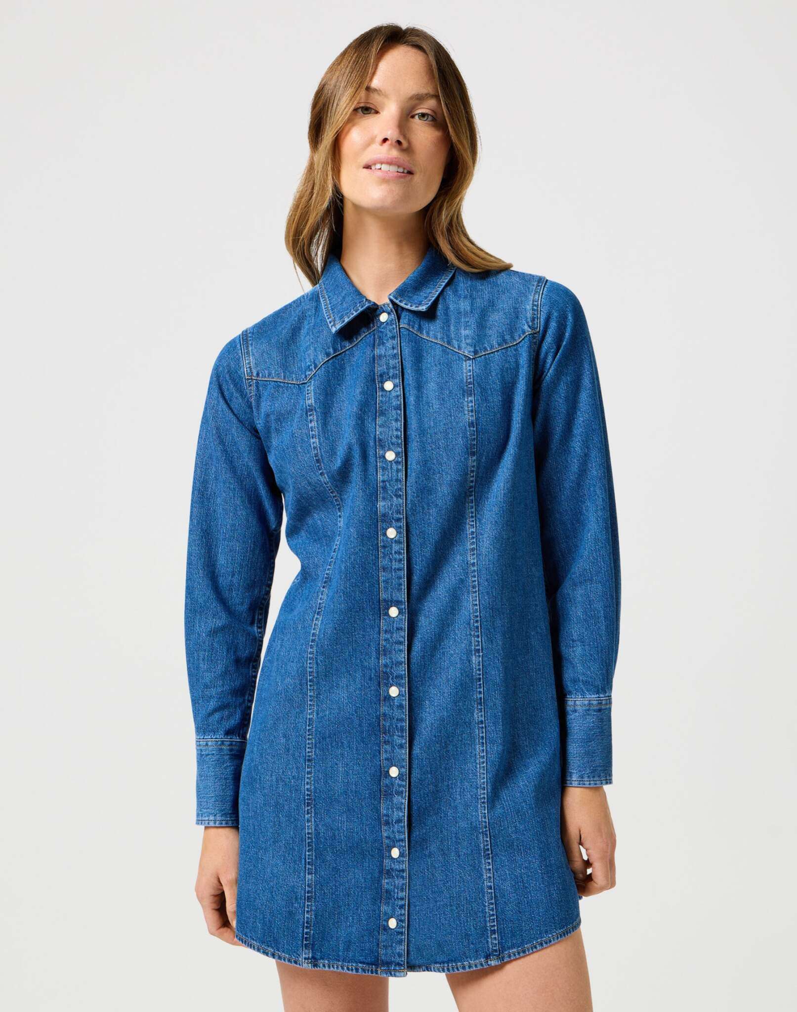 Reg Denim Dress in Petrified Robes Wrangler