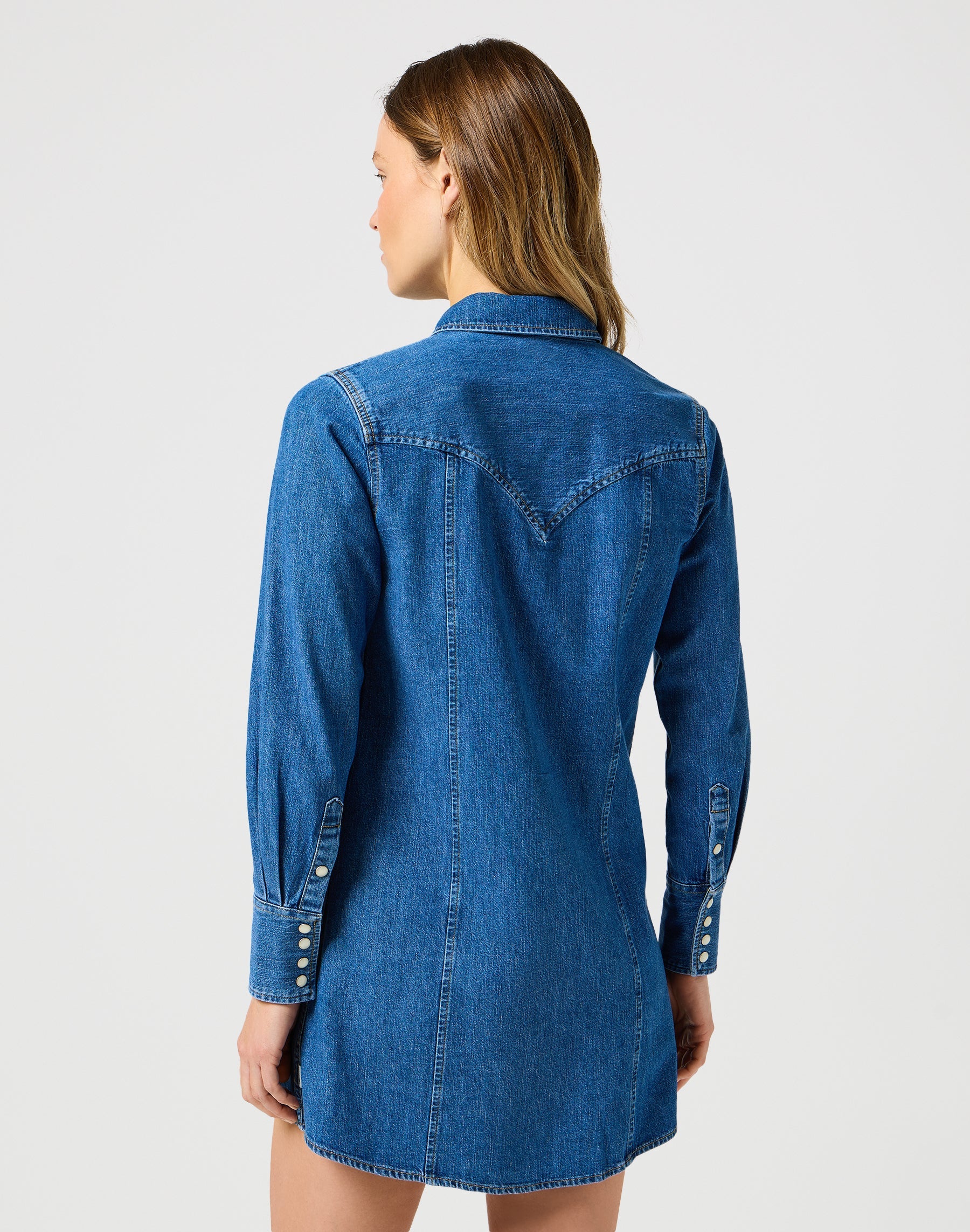 Reg Denim Dress in Petrified Robes Wrangler