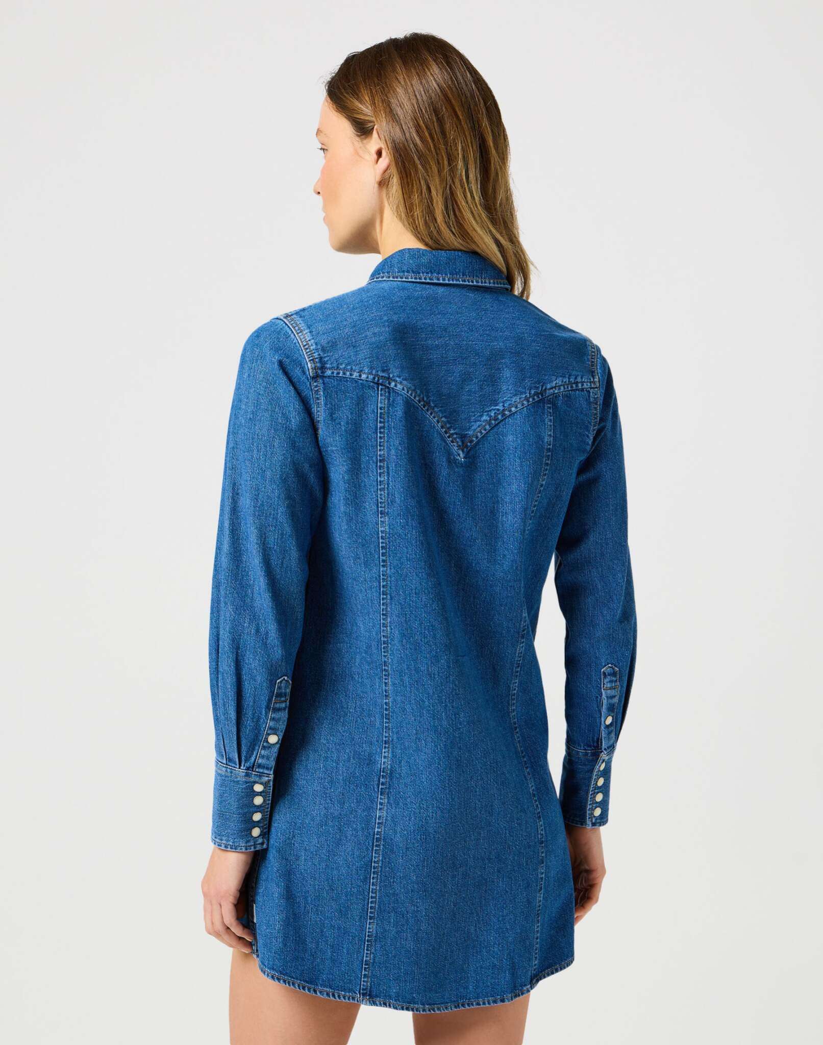 Reg Denim Dress in Petrified Robes Wrangler