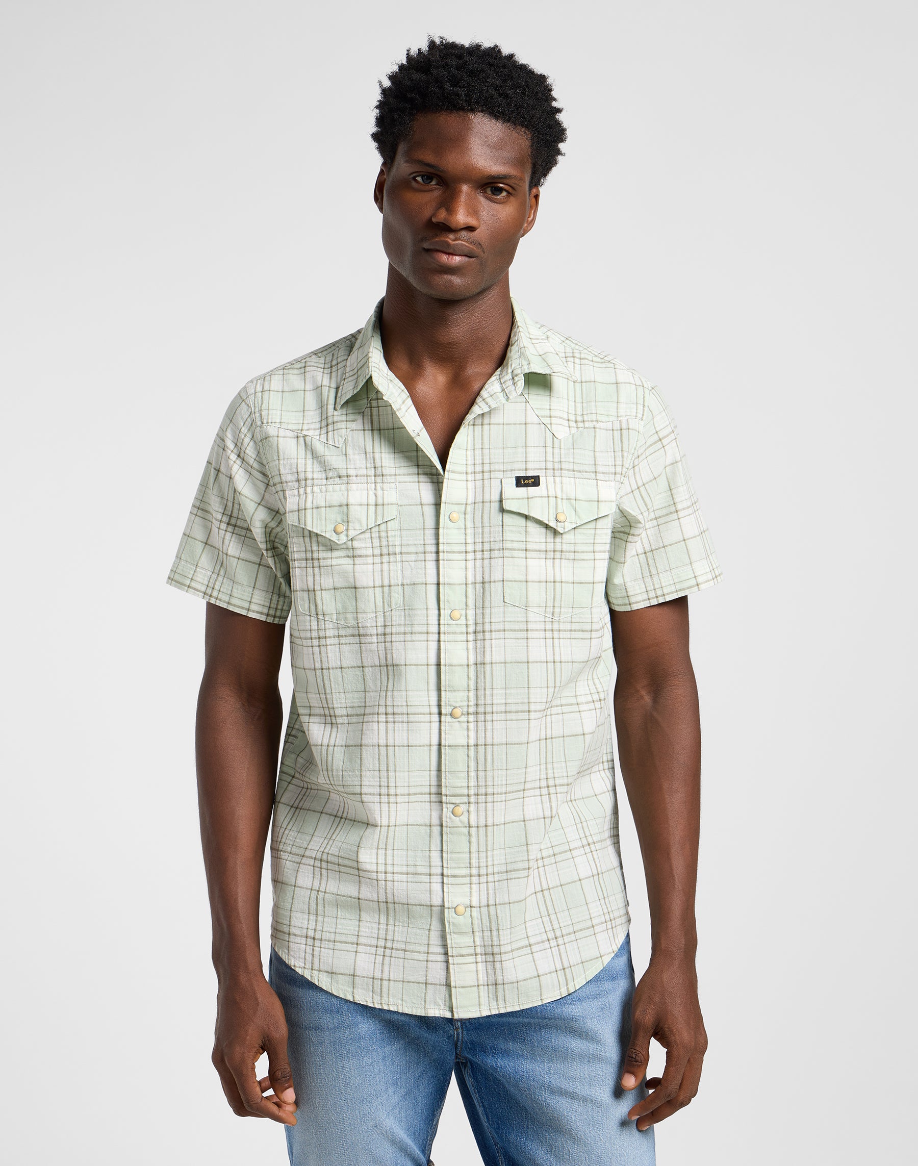 Ss Western Shirt in Mercantile Sage Ombre Chemises Lee