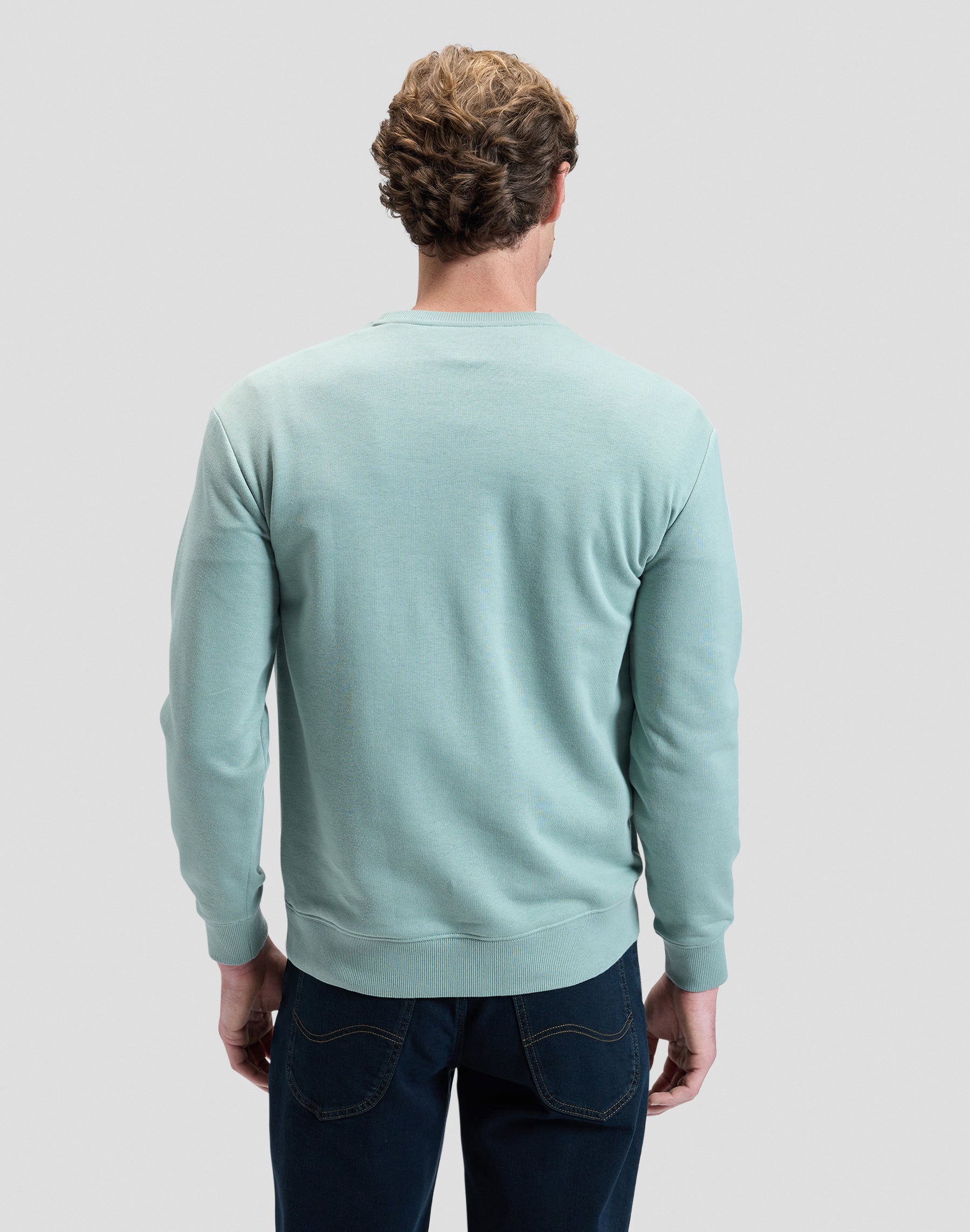 Sweat-shirt Patch Crew en Desert Sage