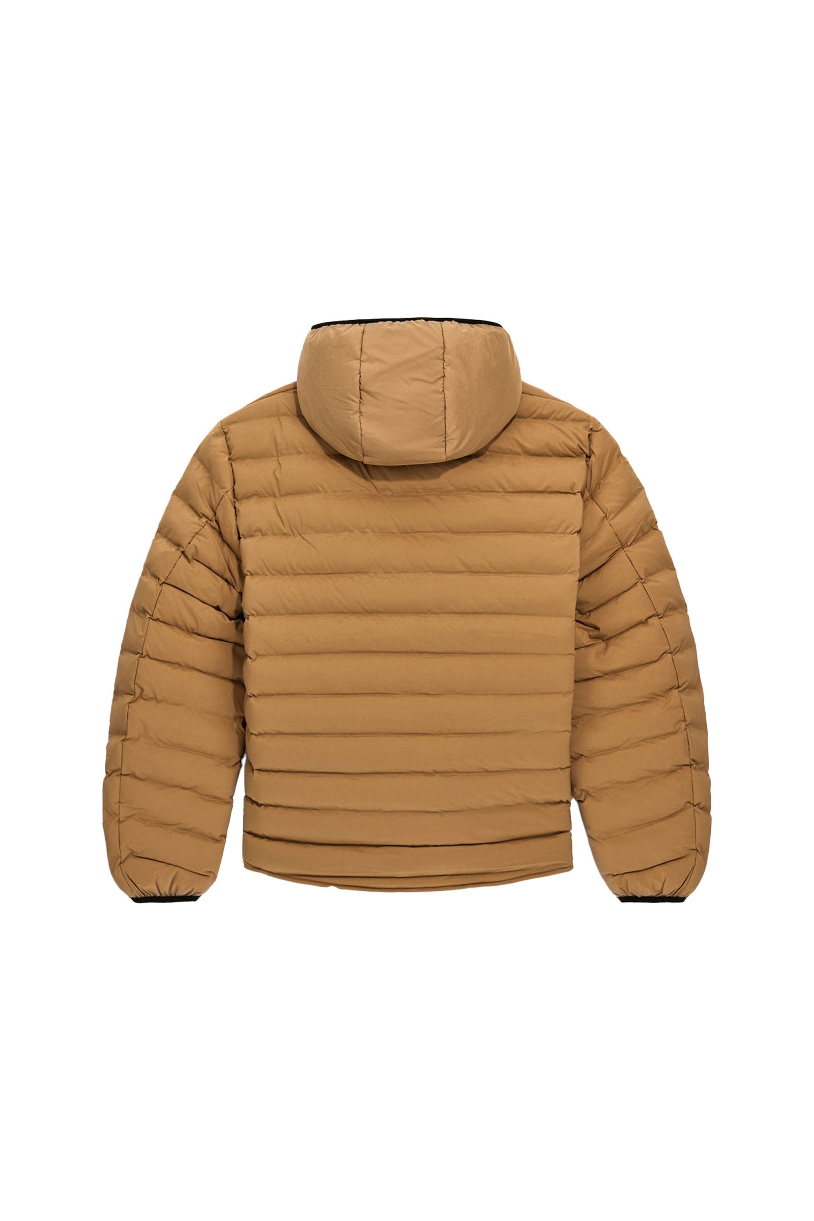 Yuki Seamless dans Vestes Emine GAS