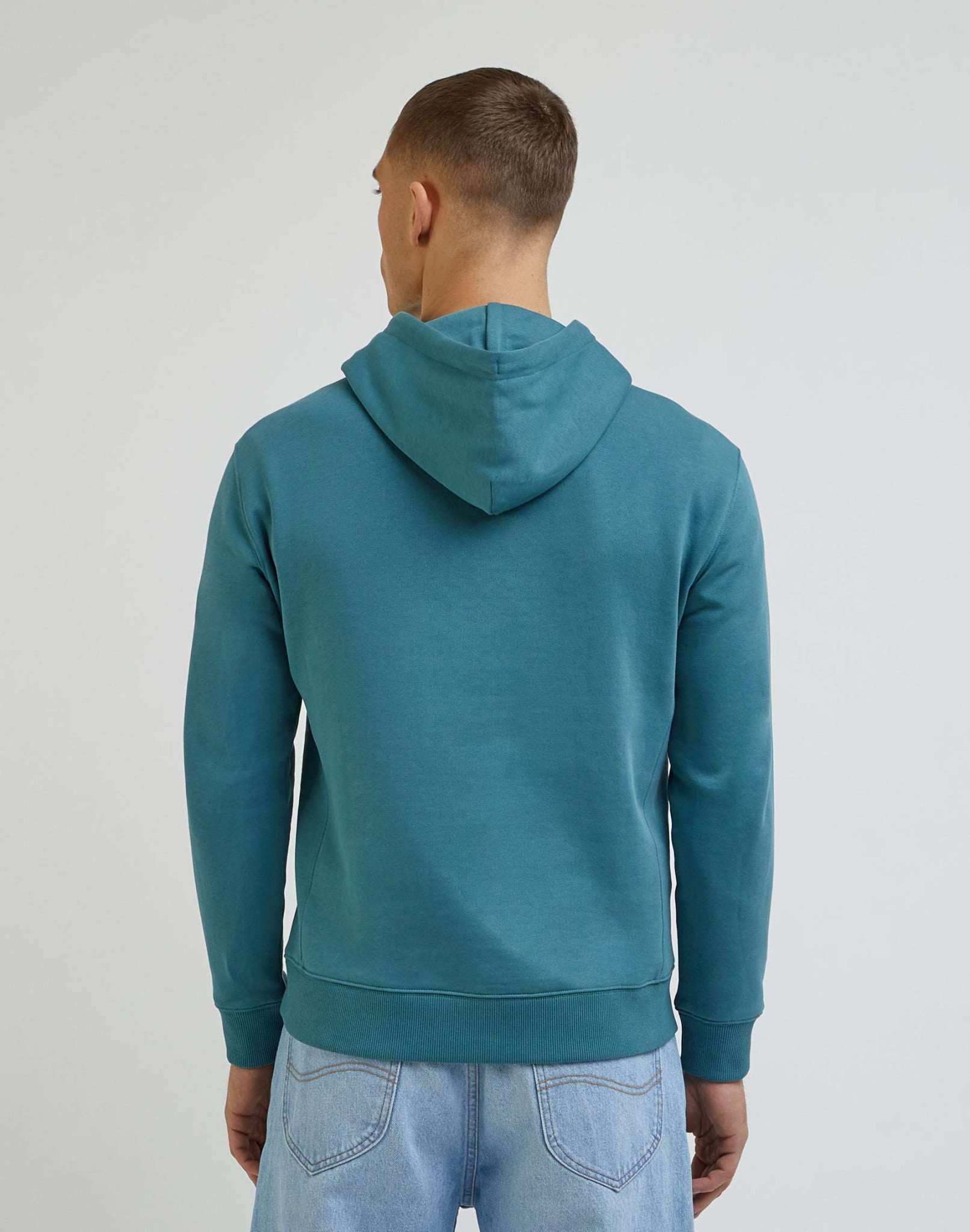 Sweat à capuche Plain Hoodie in Eden Lee   