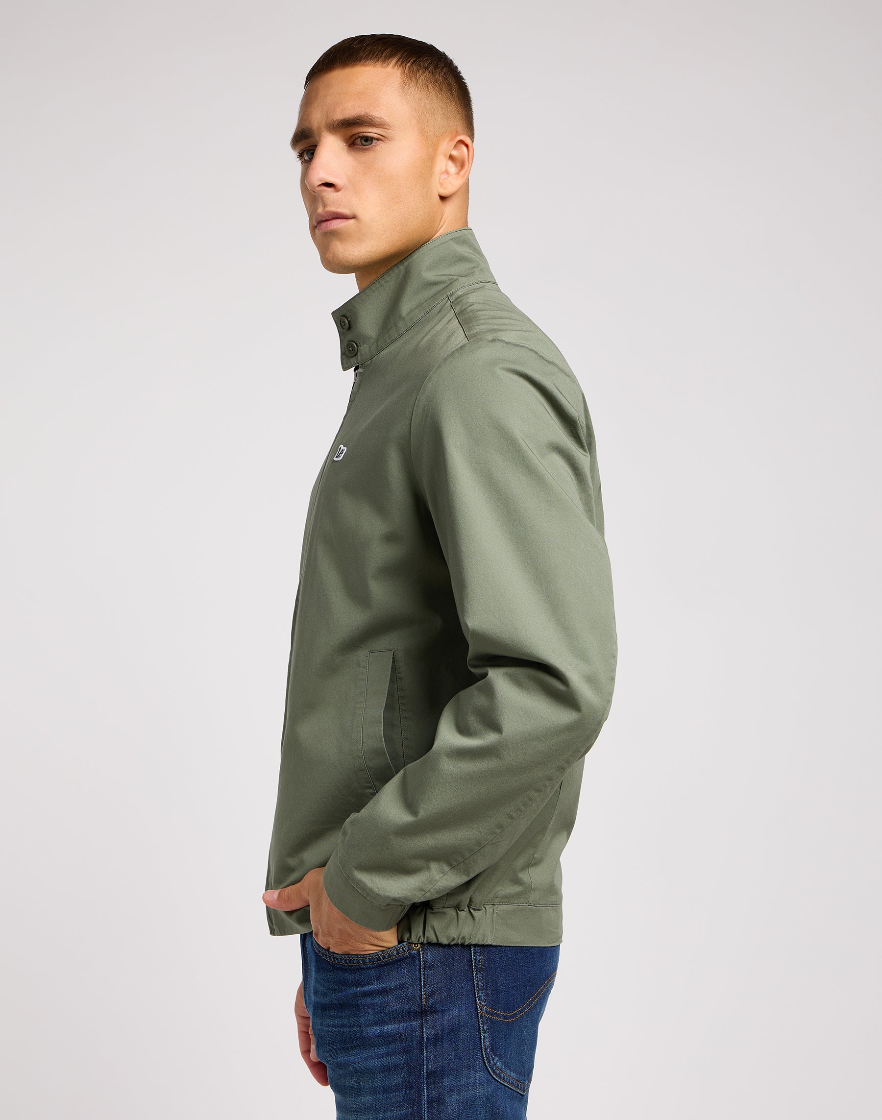 Veste Harrington dans Olive Grove Vestes Lee   