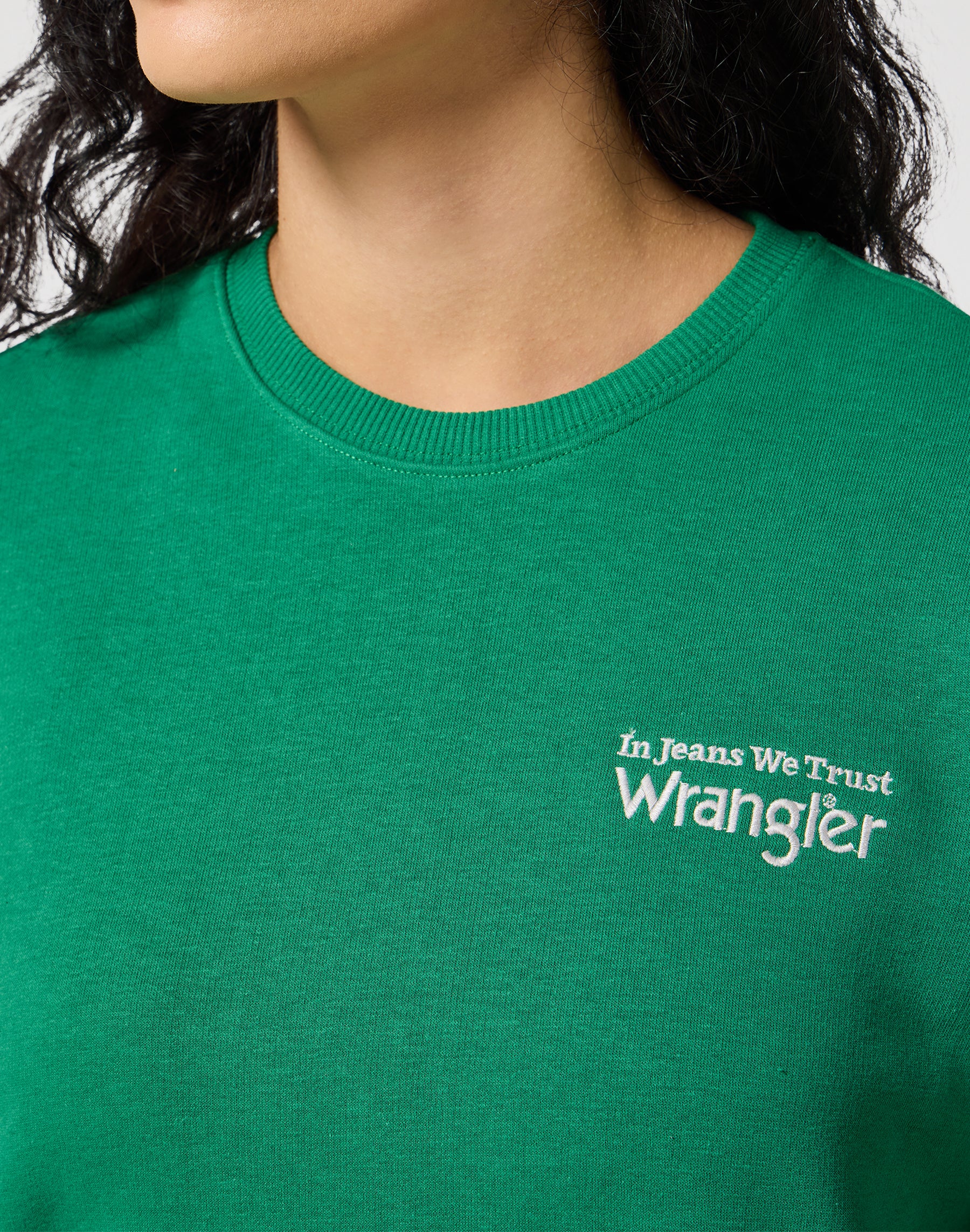 Sweat Regular en Verdant Green Pullover Wrangler   