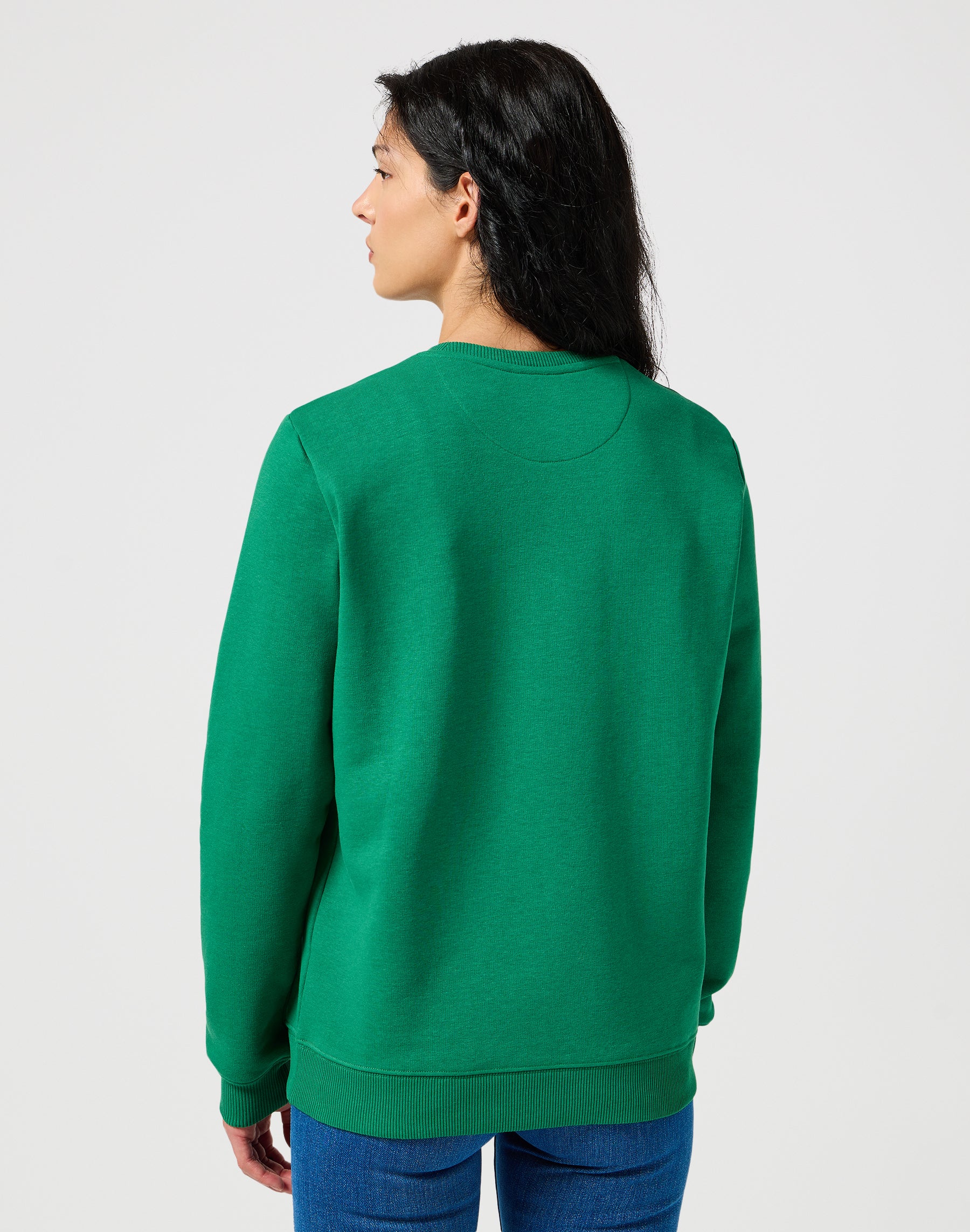 Sweat Regular en Verdant Green Pullover Wrangler   