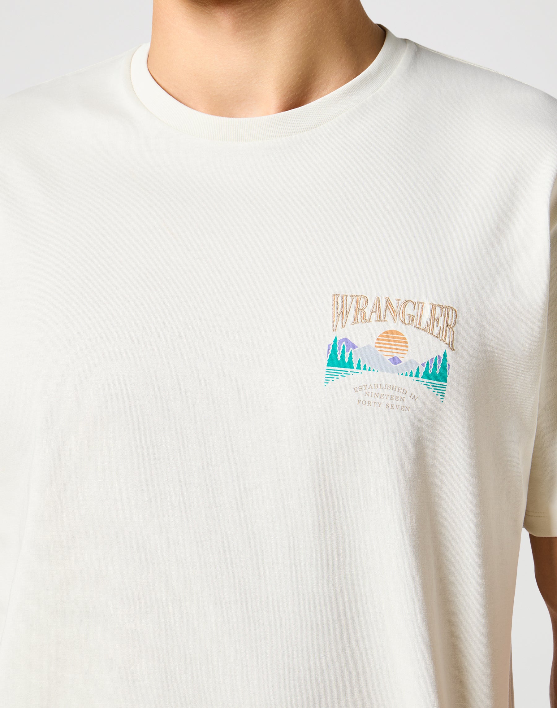 Graphic Tee in Vintage White T-shirts Wrangler   