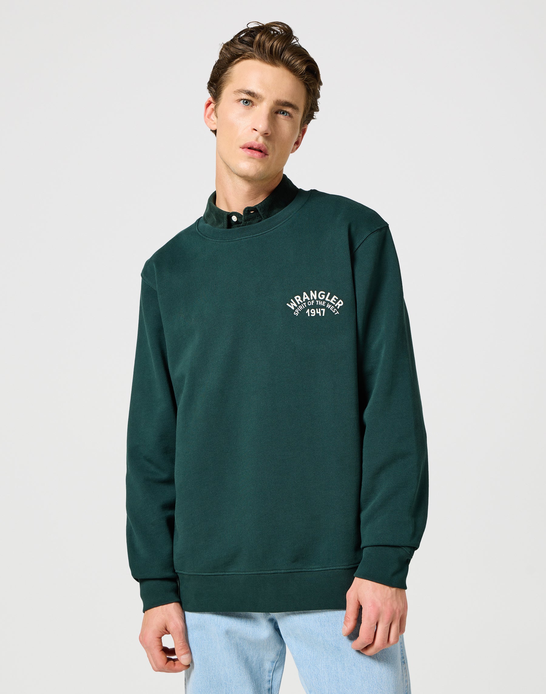 Sweatshirt ras du cou en Scarabée Sweatshirts Wrangler   