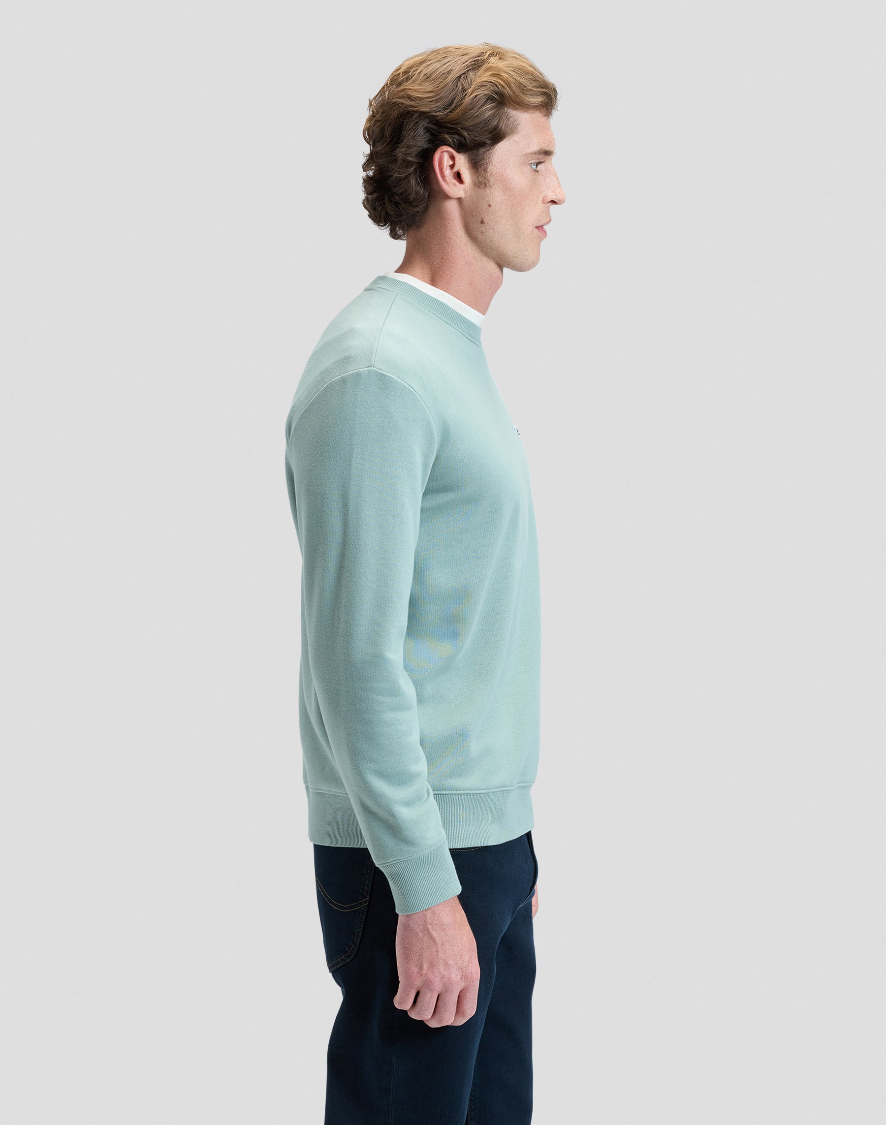 Sweat-shirt Patch Crew en Desert Sage