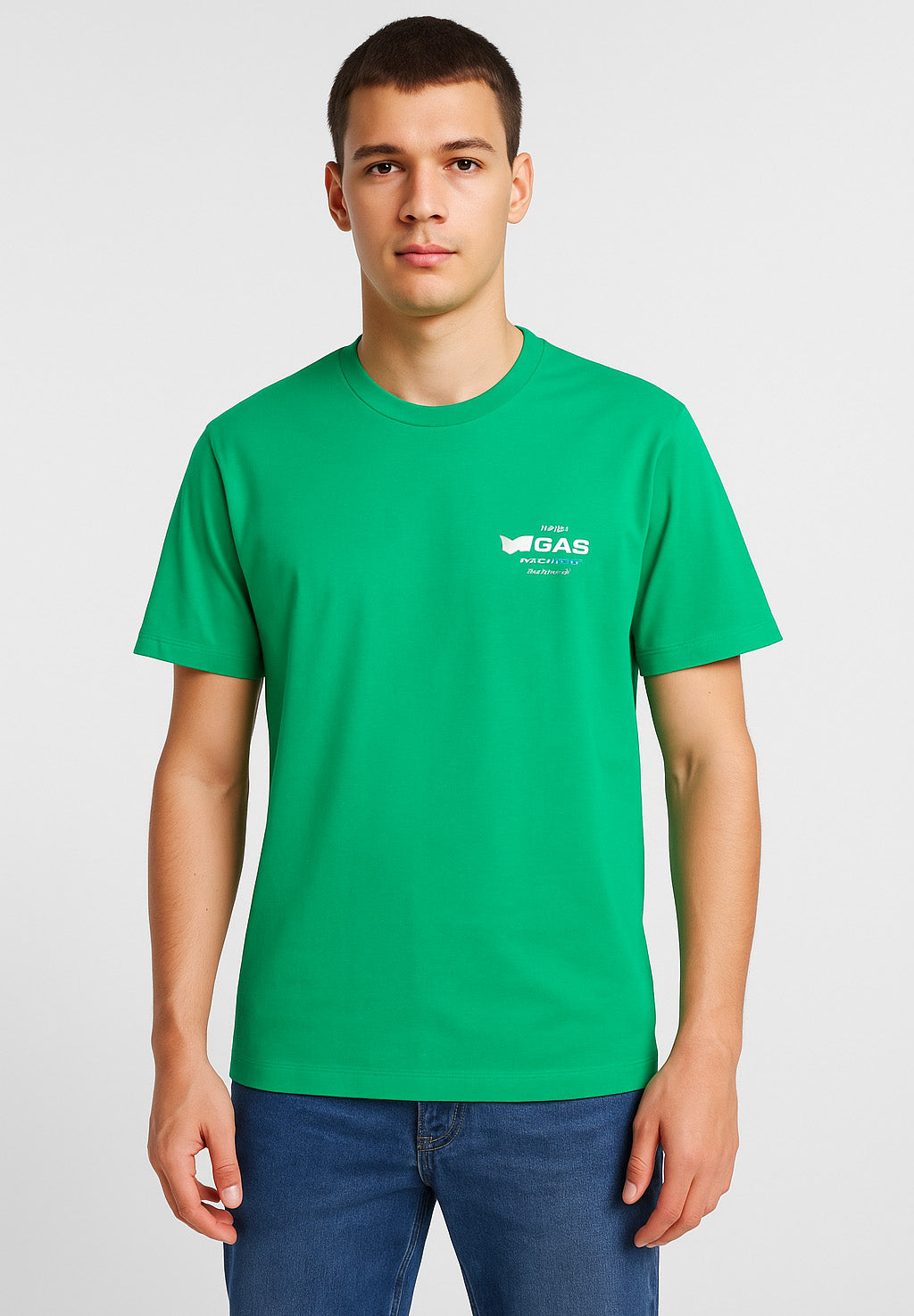 Logo Dharis Mc 1984 en vert d'hiver