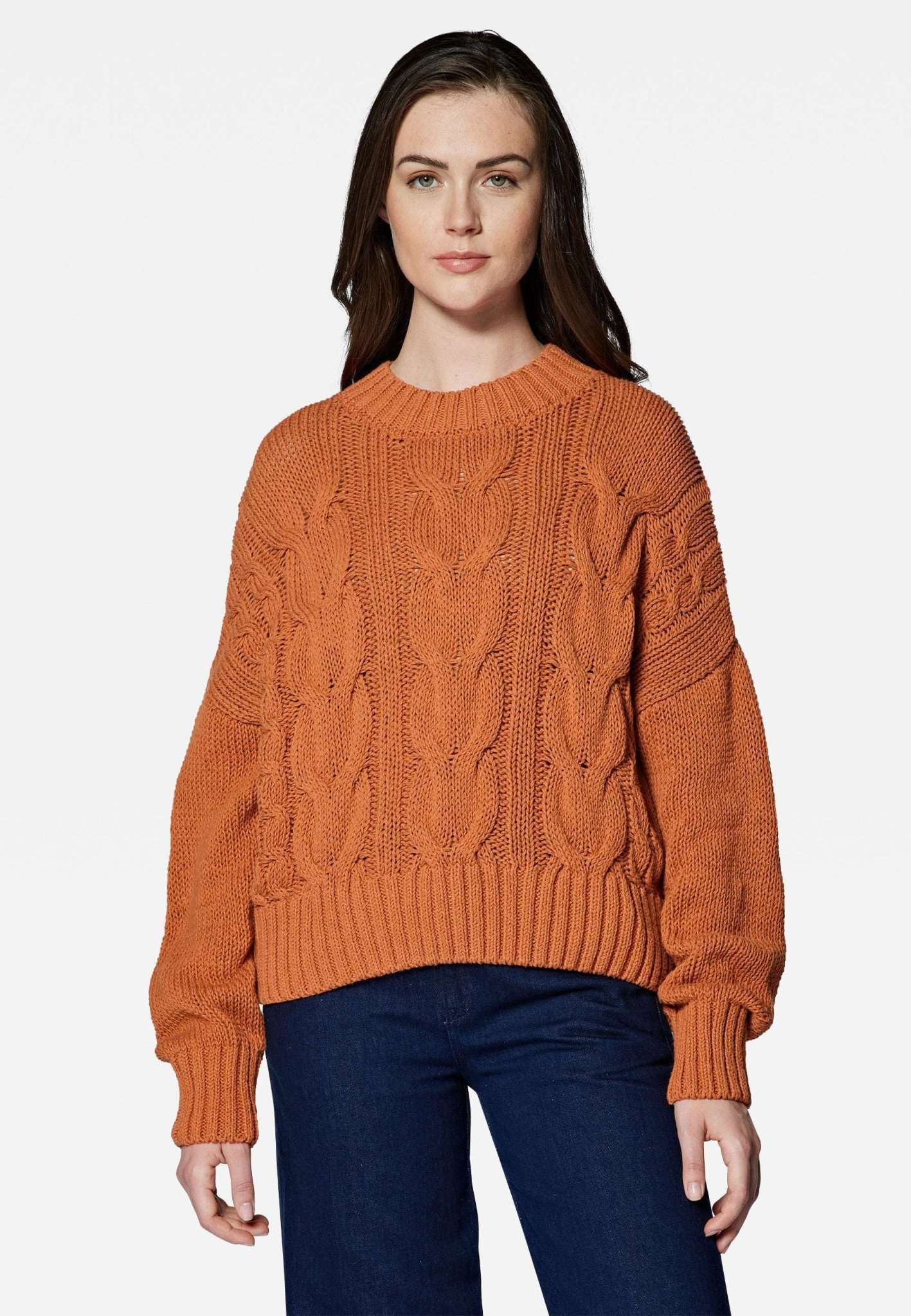 Sweat ras du cou en feuille d'automne Pull Mavi   