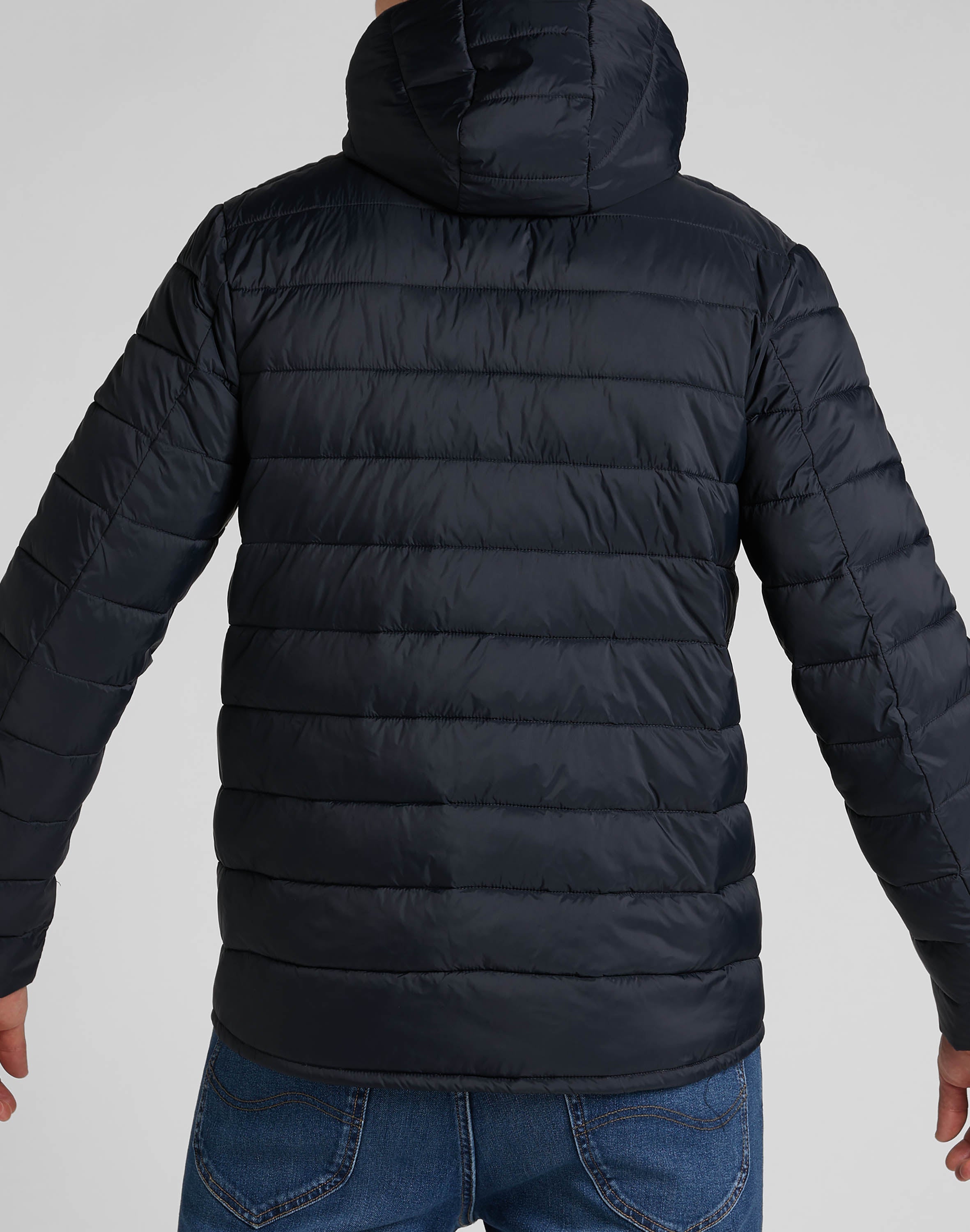 Light Puffer Jacket in Black Vestes Lee   